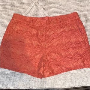 Orange Ann Taylor loft size for shorts